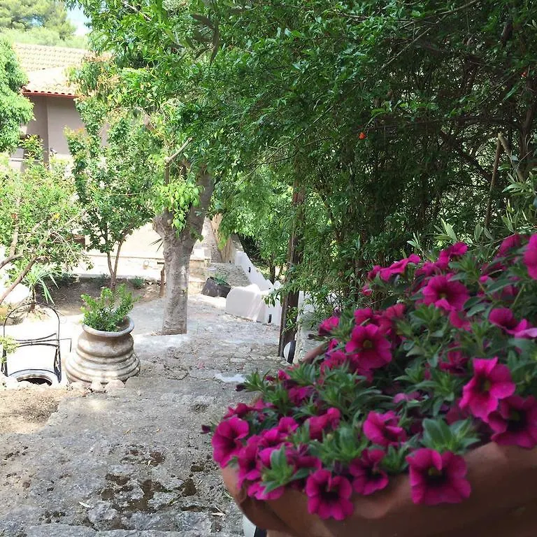 The Beach House - Apartments & Studios (Adults Only) Άφυτος 4*,